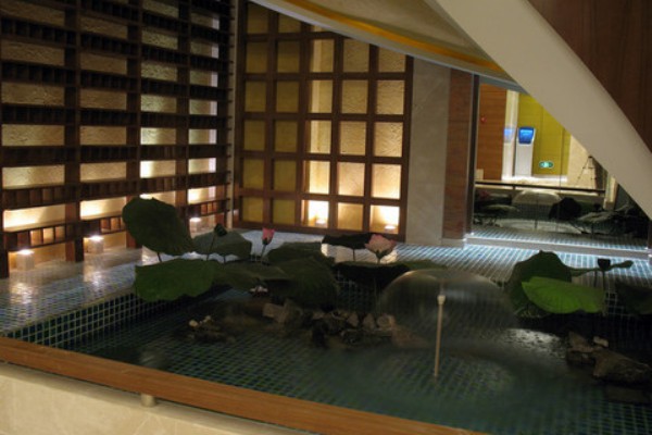 成都悠闲时光：喝茶晒太阳打牌养生指南(成都喝茶晒太阳图片)