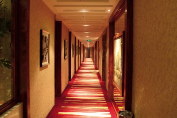 品茗成都，文青养生生活指南(品茗文化)